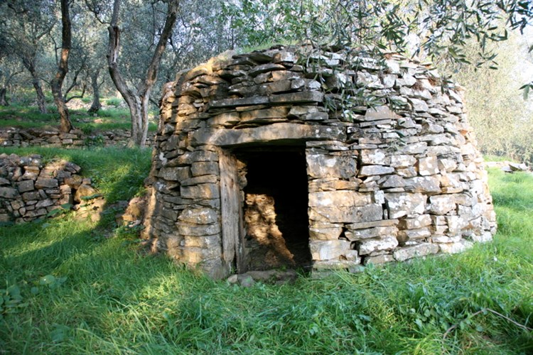 Olio Ansaldi